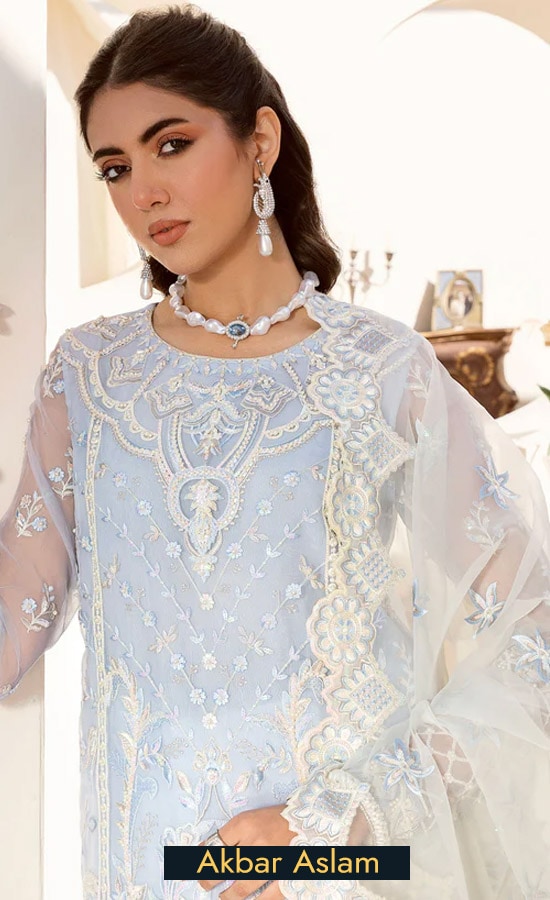 Embroidered Organza - Nour 02
