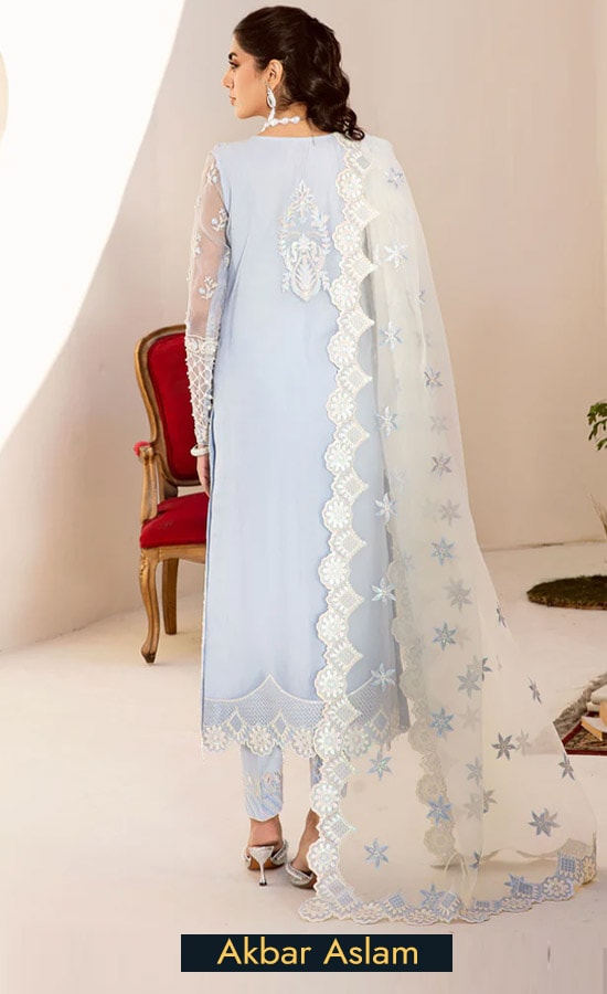 Embroidered Organza - Nour 02