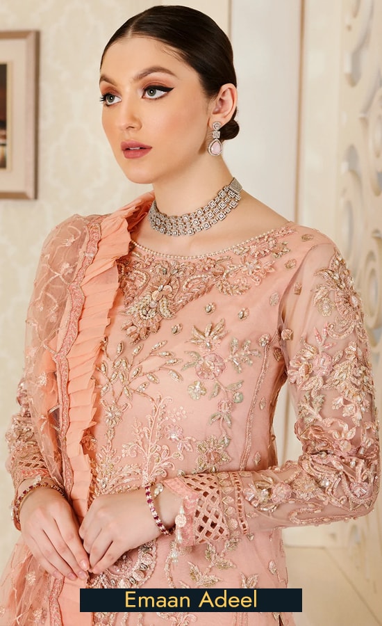 Embroidered Net - Mb 303