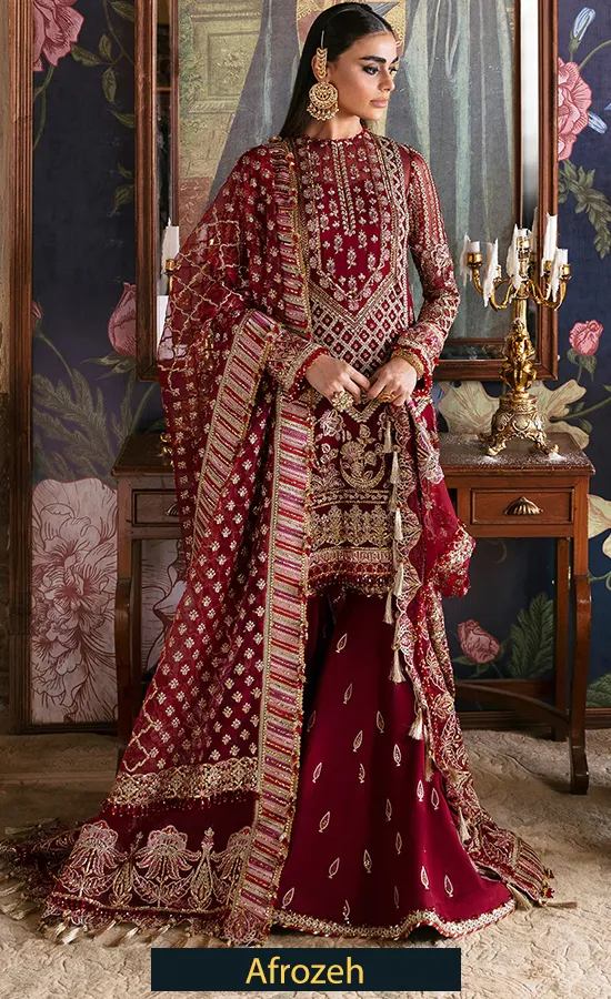 Embroidered-Chiffon-Dabeer