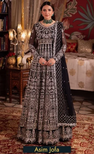 Embroidered Chiffon - Ajcr-02