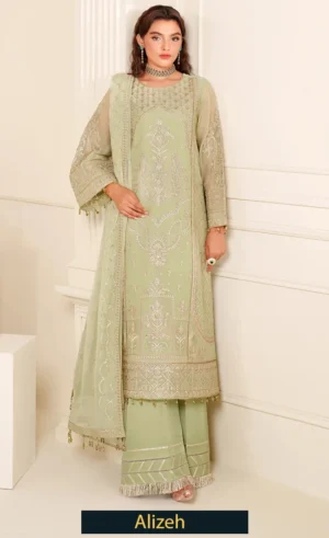 Embroidered Chiffon - AF-DUA-3024-Reet