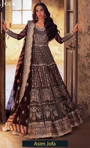 Embroidered Chiffon - AJKB-10