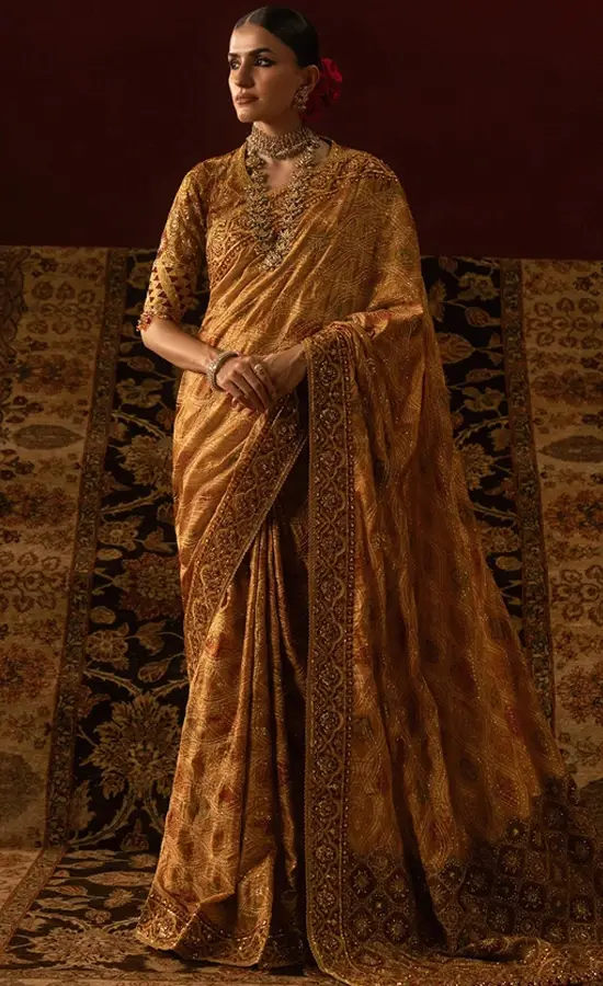 Organza Saree For Wedding Guestsss (2) Organza Saree For Wedding Guestsss (2)