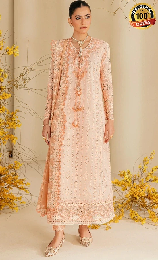 Aik Atelier Embroidered Lawn B2604B Dress (4)
