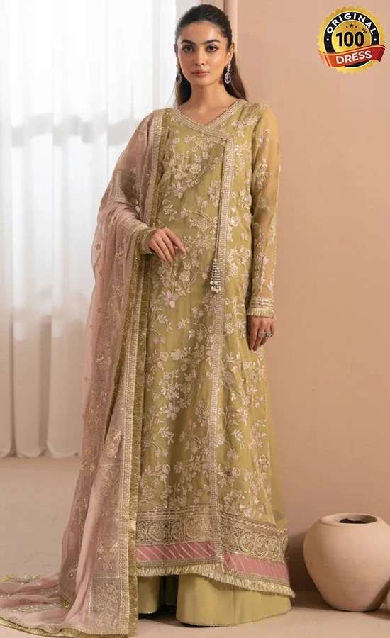 Embroidered Chiffon NIVVI Dress (2) Embroidered Chiffon NIVVI Dress (2)